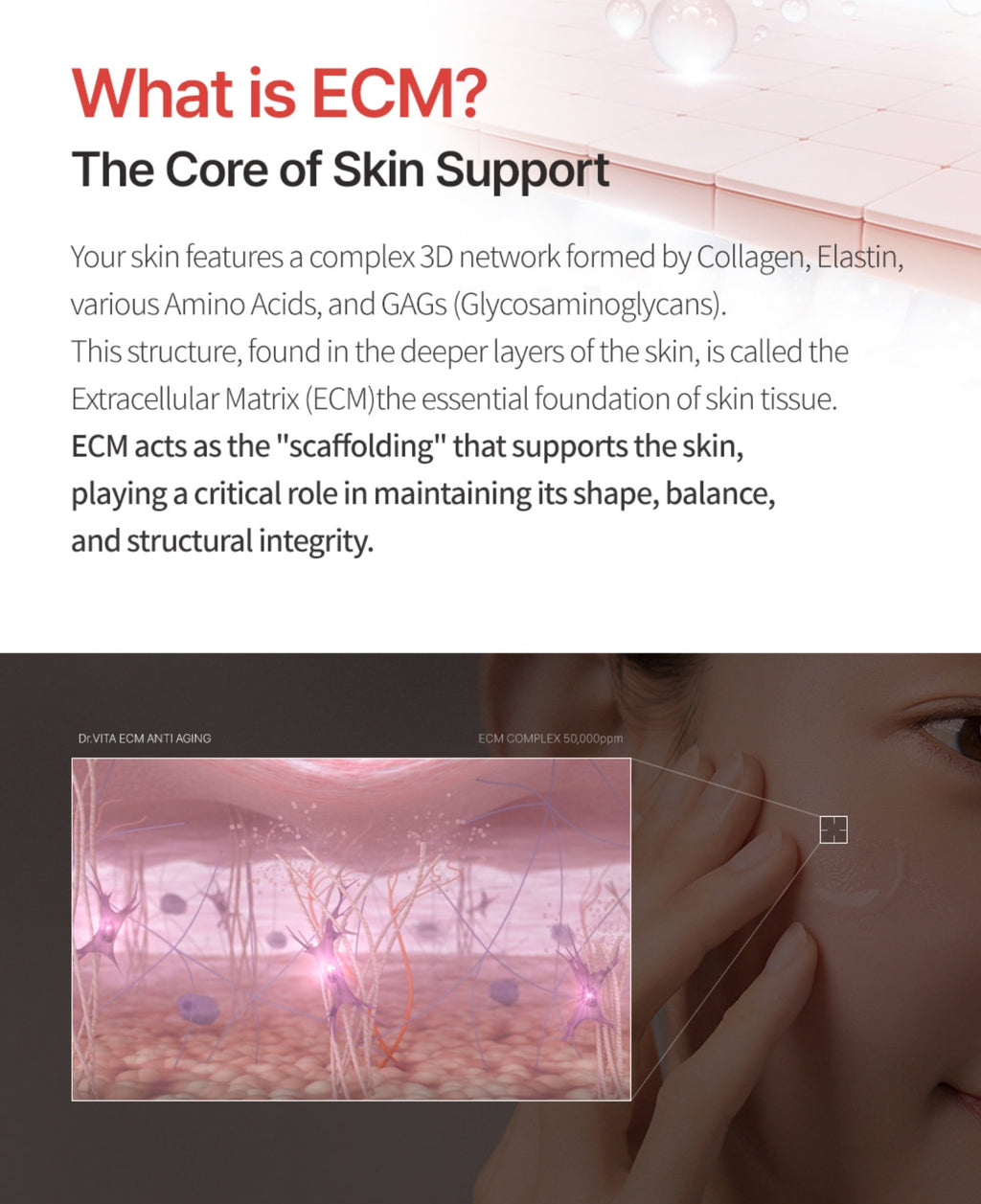 Dr. VITA ECM Anti-Aging Cream