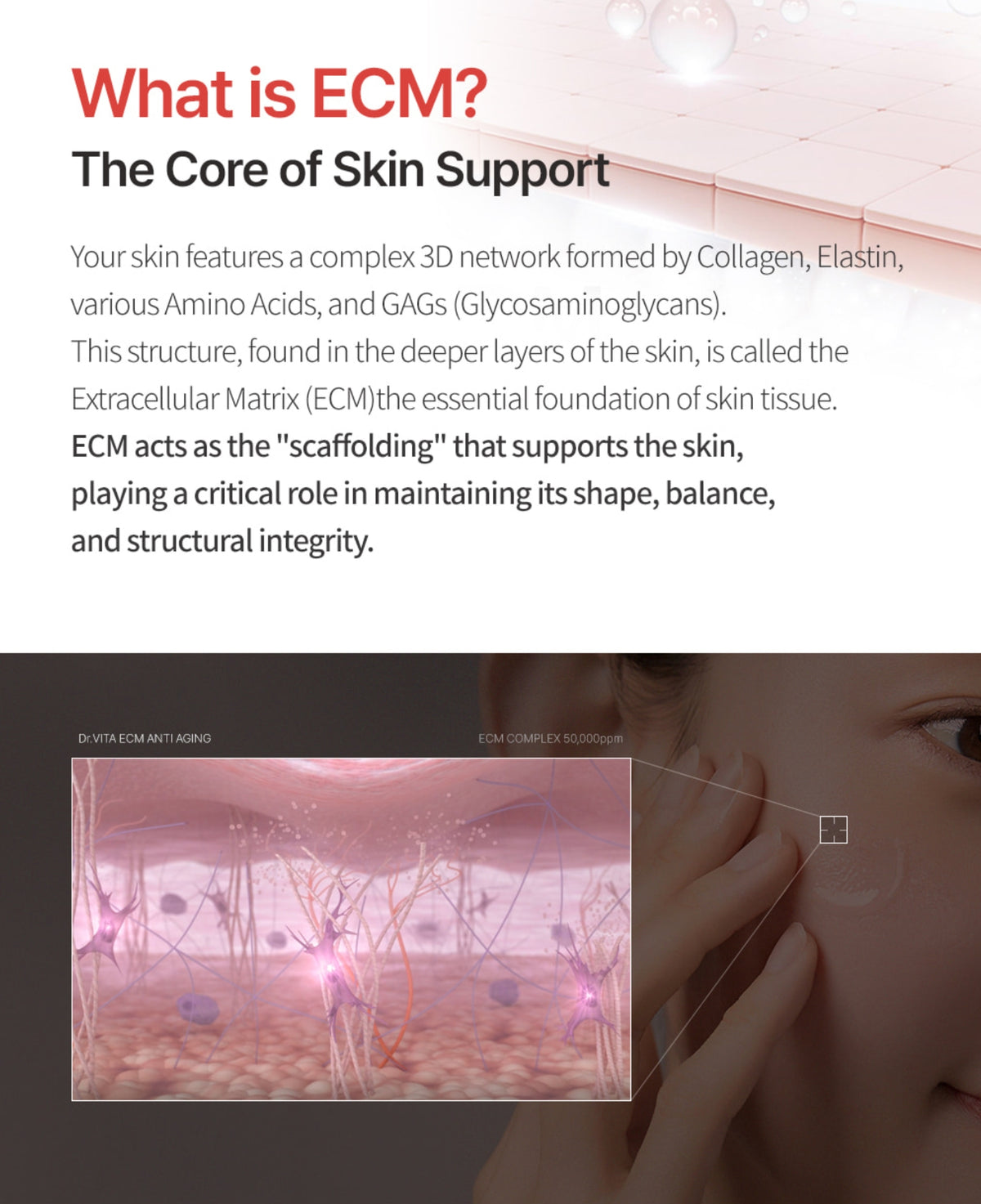Dr. VITA ECM Anti-Aging Cream